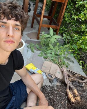 Nick Hargrove Instagram - My braided money tree don’t jiggle jiggle, but two of the trunks did fold (die ☹️). Plant dad attempted plant surgery to remove the dead trunks. I forgot to take before pictures, when there were five braids, but you can see one of the rotting trunks on slide 7. I’ll keep you updated on if she survives 🌲🌞 
By the way- I have no idea what I’m doing, so any advice is very much appreciated