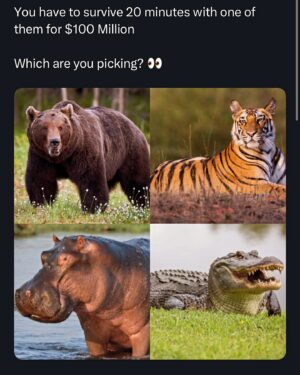 Nick Joseph Instagram - If you had to pick… which one is the easiest 👀👀👀