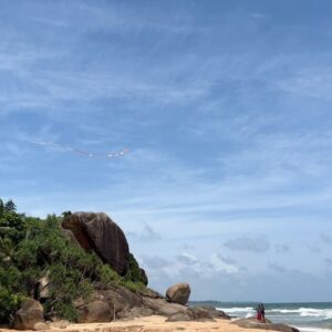 Nick Merico Instagram - Sri Lanka 🇱🇰 a hidden treasure full of life and wonder. You’ve inspired me to open up my heart and explore new paths of courage and empathy. 🙏🏻
