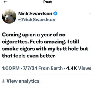 Nick Swardson Instagram - I’m almost 50 years old and this is stuff I think of. If I knew in junior high I’d be the exact same at 50 I’d be so proud. Come see Toilet Head this fall nickswardson.net