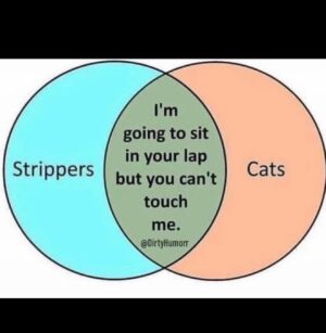 Nick Swardson Instagram - Classic. Imagine if a stripper was in a cat suit. You’d be fucking dead. All tour dates nickswardson.net merch Swardsonshirts.com NEW SPECIAL COMING SOON. Old special ‘Taste It’ on YouTube now. @ccstandup