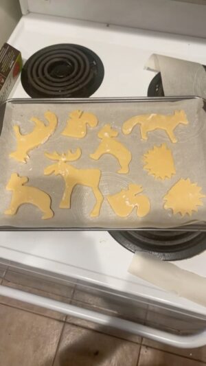 Nick Wolfhard Instagram - Made cookieeees plus STEVE