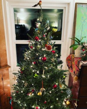 Nick Wolfhard Instagram - Great lookin tree! Thanks mom!
