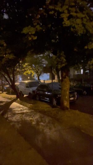 Nick Wolfhard Instagram - “Nice night for a walk”
