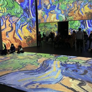 Nico Mirallegro Instagram - Seek only light and freedom and do not immerse yourself too deeply in the worldly mire 

#vincentvangogh