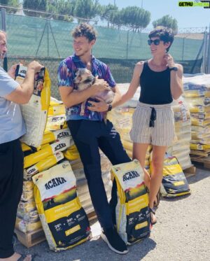 Nicolás Coronado Instagram - La mejor acción que puedes hacer hoy .
Se merecen una oportunidad🙏🏻🐱🐶
Hace unos días visité las instalaciones del @salvandopeludos_elcampito y pude conocer a algunos de los perros y gatos que viven allí y buscan un hogar donde ser felices.
También tuve el honor de hacer entrega de una gran cantidad de pienso cedido por mis amigos de @acana_es, ¡una ayuda enorme para ellos! Porque son cientos de bocas las que alimentar cada día 💔

La inocencia de estos animales no deja de sorprenderme y cautivarme cada día, por eso me encoje el corazón viendo cuántos de ellos necesitan nuestra ayuda🙏🏻

Puedas ayudar mucho o poco , elegir ayudar en lugar de no hacerlo , te hará más grande y mejor .
#acana #salvandopeludos_elcampito #ad