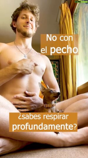 Nicolás Coronado Instagram - RESPIRA CONMIGO 
Para respirar profundamente, en la inspiración baja el aire hasta tu estómago, hasta la parte baja de tus pulmones y ve llenándolos desde ahí, lento y sin prisa, hasta que tus clavículas se eleven al llenarse la parte alta de los pulmones. 
Suelta por la nariz el aire libremente sintiendo cómo se aflojan las tensiones.
Repite esto varias veces, y elevarás los niveles de oxígeno en tu sangre, cerebro y todo tu cuerpo.
Más oxígeno, más salud

#respiración #relajación #guiada #nicolascoronado #hipertension #tensiones #calma #estrés #ansiedad
