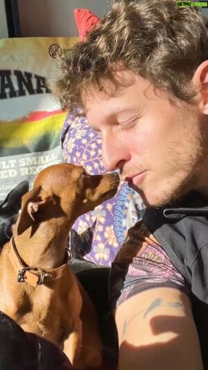 Nicolás Coronado Instagram - No me cansaré de aprender de mis maestros cuadrúpedos toda la vida, de su estabilidad emocional y de aprender a tomarse la vida con más sencillez. Disfrutan de las pequeñas cosas como un rayo de sol ☀️ 
Cuidándoles siempre con lo mejor, el amor no tiene precio #acana