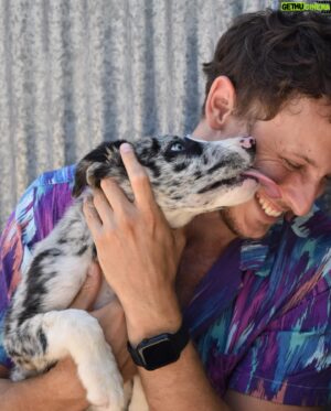 Nicolás Coronado Instagram - La mejor acción que puedes hacer hoy .
Se merecen una oportunidad🙏🏻🐱🐶
Hace unos días visité las instalaciones del @salvandopeludos_elcampito y pude conocer a algunos de los perros y gatos que viven allí y buscan un hogar donde ser felices.
También tuve el honor de hacer entrega de una gran cantidad de pienso cedido por mis amigos de @acana_es, ¡una ayuda enorme para ellos! Porque son cientos de bocas las que alimentar cada día 💔

La inocencia de estos animales no deja de sorprenderme y cautivarme cada día, por eso me encoje el corazón viendo cuántos de ellos necesitan nuestra ayuda🙏🏻

Puedas ayudar mucho o poco , elegir ayudar en lugar de no hacerlo , te hará más grande y mejor .
#acana #salvandopeludos_elcampito #ad