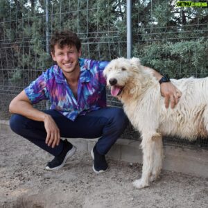 Nicolás Coronado Instagram - La mejor acción que puedes hacer hoy .
Se merecen una oportunidad🙏🏻🐱🐶
Hace unos días visité las instalaciones del @salvandopeludos_elcampito y pude conocer a algunos de los perros y gatos que viven allí y buscan un hogar donde ser felices.
También tuve el honor de hacer entrega de una gran cantidad de pienso cedido por mis amigos de @acana_es, ¡una ayuda enorme para ellos! Porque son cientos de bocas las que alimentar cada día 💔

La inocencia de estos animales no deja de sorprenderme y cautivarme cada día, por eso me encoje el corazón viendo cuántos de ellos necesitan nuestra ayuda🙏🏻

Puedas ayudar mucho o poco , elegir ayudar en lugar de no hacerlo , te hará más grande y mejor .
#acana #salvandopeludos_elcampito #ad