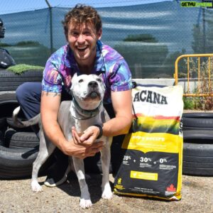 Nicolás Coronado Instagram - La mejor acción que puedes hacer hoy .
Se merecen una oportunidad🙏🏻🐱🐶
Hace unos días visité las instalaciones del @salvandopeludos_elcampito y pude conocer a algunos de los perros y gatos que viven allí y buscan un hogar donde ser felices.
También tuve el honor de hacer entrega de una gran cantidad de pienso cedido por mis amigos de @acana_es, ¡una ayuda enorme para ellos! Porque son cientos de bocas las que alimentar cada día 💔

La inocencia de estos animales no deja de sorprenderme y cautivarme cada día, por eso me encoje el corazón viendo cuántos de ellos necesitan nuestra ayuda🙏🏻

Puedas ayudar mucho o poco , elegir ayudar en lugar de no hacerlo , te hará más grande y mejor .
#acana #salvandopeludos_elcampito #ad