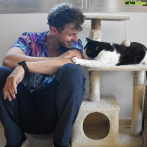 Nicolás Coronado Instagram - La mejor acción que puedes hacer hoy .
Se merecen una oportunidad🙏🏻🐱🐶
Hace unos días visité las instalaciones del @salvandopeludos_elcampito y pude conocer a algunos de los perros y gatos que viven allí y buscan un hogar donde ser felices.
También tuve el honor de hacer entrega de una gran cantidad de pienso cedido por mis amigos de @acana_es, ¡una ayuda enorme para ellos! Porque son cientos de bocas las que alimentar cada día 💔

La inocencia de estos animales no deja de sorprenderme y cautivarme cada día, por eso me encoje el corazón viendo cuántos de ellos necesitan nuestra ayuda🙏🏻

Puedas ayudar mucho o poco , elegir ayudar en lugar de no hacerlo , te hará más grande y mejor .
#acana #salvandopeludos_elcampito #ad