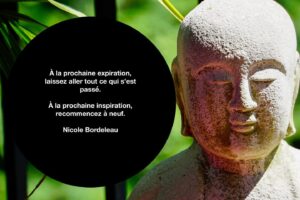 Nicole Bordeleau Instagram - Il suffit de peu de choses pour revenir dans l’instant présent.

#reveniraumonde #toutpasse  #laisseraller #momentprésent #respire #breathe #inhale #exhale #inspiration #laisserpartir
