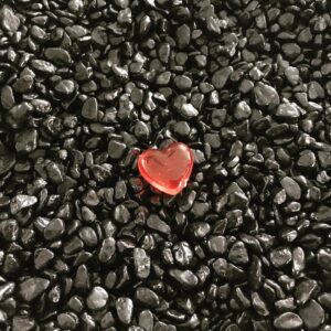 Nicole Bordeleau Instagram - Mes chers amis,

À quelques jours de la Saint-Valentin, je vous offre un épisode dans lequel j'ai tenté de révéler un autre sens à l'amour. 

Celui qui est si profond que même lorsqu'il change de visage ou de forme ne nous quitte jamais.

À découvrir sur votre portail podcast et sur mon site (lien dans bio).

Je vous souhaite tout l'amour du monde et que notre monde reçoive à son tour, tout votre amour.

De tout coeur,
Nicole

#amour #compassion #monde #souffle #cœur #guerison #cadeau #histoire #balado #podcasts