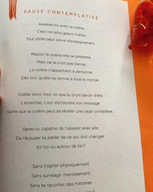 Nicole Bordeleau Instagram - Au fil de la lecture de « Guérisons intérieures », j’ai parsemé des pauses contemplatives pour envisager l’acte de « guérir » sous des angles nouveaux. 

Voici un extrait qui invite à considérer la colère comme une facette de la guérison. 

Disponible en librairie et version numérique.

#guerisonsinterieures #nouveaulivre #editionsedito #réflexion #anglenouveau #colère #pause #contemplation