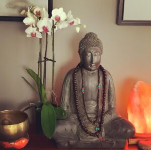 Nicole Bordeleau Instagram - Nul besoin de chercher très loin.
En matière de patience, le moment présent est souvent le plus grand des enseignants.

#toutpasse #respire #momentprésent #enseignant #reveniraumonde #zénitude #mindfulness #awareness #méditation #pleineprésence #patience #paixintérieure #calme