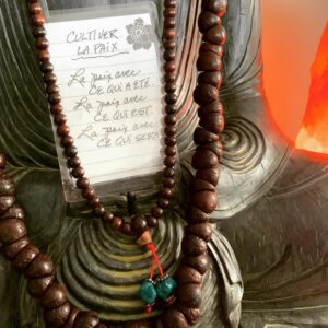 Nicole Bordeleau Instagram - Les tempêtes intérieures et les grands vents des changements qui soufflent sur notre existence pointent dans la même direction : il nous faut apprendre à faire la paix intérieurement.

La paix avec ce qui a été.

La paix intérieure avec ce qui est.

La paix avec ce qui sera. 

De cette paix découlera le discernement de prendre action avec lucidité et sagesse.

#quiétude #tout passe #paix #respire #innerpeace #moment #méditation #awareness #mentalfitness #mindfulness