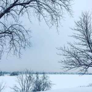 Nicole Bordeleau Instagram - Ce matin, je me suis mise à penser à cette fabuleuse anecdote. 

C'est l'histoire d'une famille qui voyageait à travers les plaines et les tempêtes vers des destinations inconnues.

Le père, avec les bagages, était monté sur le premier cheval.
La mère, avec les sacs et couvertures, sur le deuxième. 
Les enfants suivaient derrière sur de plus petites montures.

À un moment donné, la mère n'en pouvant plus d'argumenter avec la plus jeune de ses filles lui dit d'une forte voix :

« Arrête de me demander si nous sommes bientôt arrivés ! Nous sommes des nomades pour l'amour du ciel !! »

En raison de cette fichue pandémie, nous sommes nombreux à nous demander si nous serons bientôt arrivés au bout de notre périple ? 

À notre tour d'apprendre que nous possédons le courage, la dignité et la persévérance des nomades de ce monde.

Et à notre tour aussi de faire confiance en nos capacités de traverser ce périple tous ensemble.

#toutpasse #nomades #courage #patience #persévérance #ensemble #périple #2021 #résilience