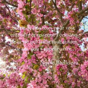 Nicole Bordeleau Instagram - Sortir de nos têtes pour prêter attention, à ce qui est là, autour de soi, ici et maintenant, voilà ce que j’appelle vivre. 

#vivre #respire #toutpasse #sentir #observer #attention #contemplation #joie #simplicité #awareness #mindfulness