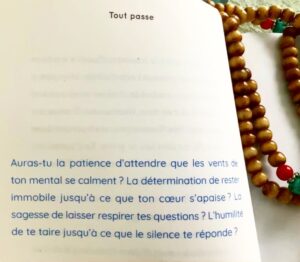 Nicole Bordeleau Instagram - De simples questions extraites de « Tout Passe » qui nous invite à descendre toujours plus profondément, toujours plus près de nous-mêmes.

#toutpasse #contemplation #silence #pleineprésence #méditation #espace #humilité #observation #calme