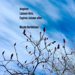 Nicole Bordeleau Instagram - Pour créer de l’espace en nous-mêmes, laisser être ce qui est hors de notre contrôle. En expirant, laisser aller. 

#laisserêtre #espace #laisseraller #respire #reveniraumonde #toutpasse #impermanence #attention #pleineprésence