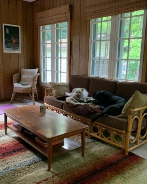 Nicole de Boer Instagram - Good morning. 🌞🌱🐶#cottage #muskoka #muskokalife #cottagelife