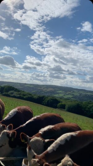 Nigel Owens Instagram - Don’t ask me anything about the rugby today as I’ve not watched yet 😂😂. Far more important things to do 😂😉
But don’t worry I’ll have watched ready for your questions for #WhistleWatch 😂
#MairwenHerefords