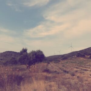 Nihan Balyalı Instagram - Doğa🌾