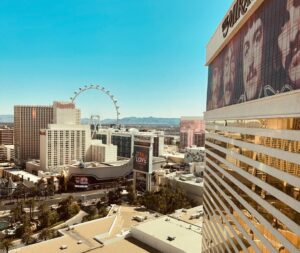 Nikita Ramsey Instagram - vegas. we laughed a lot (@jimjefferies ) we ate (a giant amazing 🦆) and sprocket strolled the strip. great weekend!!! ❤️🎰