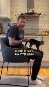 Actor Niklas Andersson HD Instagram Photos and Wallpapers July 2024