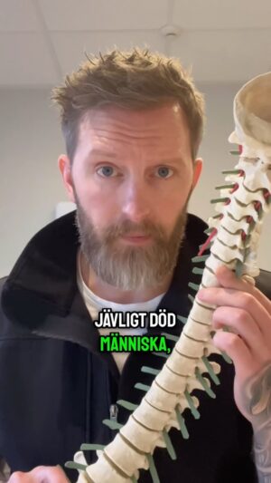 Niklas Andersson Instagram - Nu kanske du tänker, ” fast det är det väl ingen som tror”. Då kan jag informera dig om att jag dagligen får ta den här diskussionen med folk på jobbet.

Så därför väljer jag att belysa detta 🙂 och när jag säger ”mina kollegor ute i landet” så menar jag någon enstaka här och där. Dom flesta är med på detta.

Det finns också tillstånd som ex spondylolistes där det faktist sker en glidning, och den kan vi tyvärr inte trycka tillbaka. Detta kan ske bland annat pga degenerativa förändringar osv.

Finns även tillstånd som EDS varianter där saker kan hoppa ur led osv. Men nu snackar vi inte om det, nu pratar vi om när du får ont i ryggen och tror att kotan åkt på semester 😉