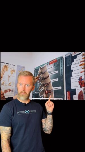 Niklas Andersson Instagram - Tänkte ta tillfället i akt och belysa att det som beskrivs som något hemskt som orsakas av att diskarna belastas ojämt över tid, är något som kallas för naturlig åldersförändring.

Vi åldras på både utsida och insida! Självklar kan degenerativa processer i diskarna leda till stora problem för många, men dessa förändringar är också helt naturliga och är inte = smärta för väldigt många.

Tänkte att detta kan vara bra att belysa och ha i bakhuvudet ☺️