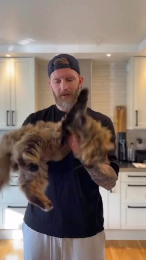 Niklas Andersson Instagram - Stretching är träningsbranchens svar på Alvedon, så låt oss alla slita och dra i allt som gör ont och känns stelt.

Och fortsätt ignorera alla faktorer som bidrar till att det gör ont och känns stelt 🙃