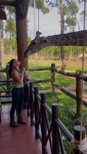 Nikola Donéová Instagram - Ona byla tak jemná a opatrná.🦒🤎
Úžasná byla! 😭  Dostala čerstvý banánky a čerstvou mrkvičku.. 🍌🥕 Vím, že tu žirafu vůbec nezajímám! 🤣😀 Že jí jde jen o to jídlo, ale i tak mám radost! 😀
_
P.S. Mají to tam obrovský a nahoře stromech zavěšený stohy rostlin ke žvýkání. Svačinky takto mohou dostávat jen v určených časech v určitém množství. My jsme měli čas krmení ve dvě odpoledne. ☺️