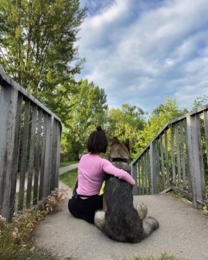 Nikola Donéová Instagram - Včera na procházce 💕 #11yo #germansheperd #greygermansheperd #westicktogether #youvegotafriendinme