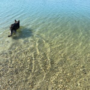 Nikola Donéová Instagram - Ranní rozcvička u vody a refresh! 🐚🌾🌊☀️