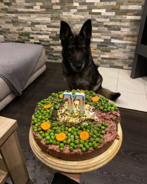 Nikola Donéová Instagram - 28.9. 🥳 Vše nejlepší Vendulko ♥️
Byla jsem s focením pomalá no 😀
#happybdaydog #makeawish #iloveyou #bezlepkovydort
