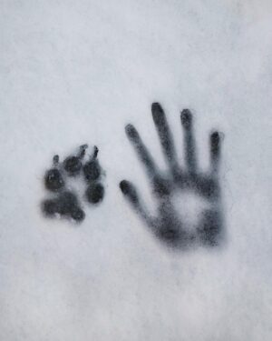 Nikola Donéová Instagram - 🐾🤚🏻