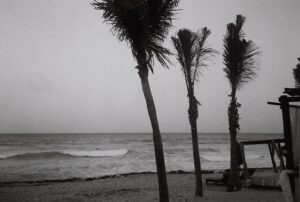 Niles Fitch Instagram - moments that will be forever lost in time.