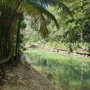 Nilka García Solís Instagram - Río #LaPlanta #Arecibo #puertorico 🇵🇷 
#roadtrip by @labusadoratrainingcenter 
#goals