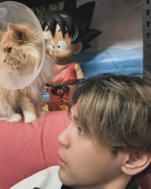Nine Chen Instagram - 最近帳號被小九拿去玩短椅音，
怕大家忘記帳號主人是誰，發一下我跟橘丸🐱
等等去寫歌囉🫡