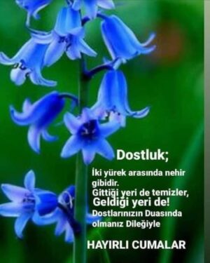 Nisan Hakan Özkan Instagram - Sayfayı annem yönetseydi paylaşımlar 😌🧿 #hayırlıcumalarşimdiden