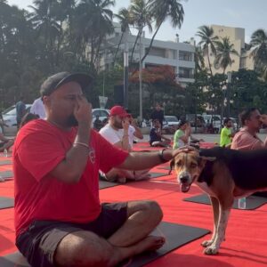 Nishant Tanwar Instagram - Happy International Day of Yoga 🧘‍♀️
Bhai ne saare aasan nipta diye ek he baar mein ✌️
Thank you for making this happen @harshala_chheda @coach_prasad @lift_squat_push @sailendrasraane @mahatiwellness 
.
.
.
.
#InternationalYogaDay #InternationalDayOfYoga #Yoga #YogaLove #YogaChallenge #mahati