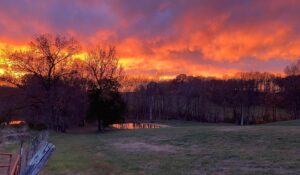 Nishi Munshi Instagram - Kentucky sunset. ❤️#naturalbeauty