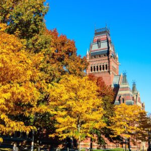 Noah Gray-Cabey Instagram - #fall #boston #harvard