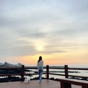 Noh Susanna Instagram - 제주에서🤍
(안젤라랑 행복하게 )