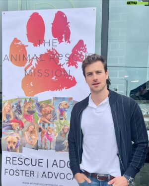 Norbi Novak Instagram - Thank you @shirascottastrof and @themichaelrosenbaum for hosting this fun event for @theanimalrescuemission. If you’re looking for a furry friend, check them out. 🐶