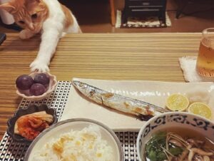 Noriko Iriyama Instagram - 朝ごはんとか晩ごはんとか。
なにかを取り戻すかのように秋を食しています🍁

❶さんまを狙ってると見せかけて
❷ブドウに手を出すおツナ。笑
❸栗ごはん炊いてん。
❹松茸いただいてん！
❺シンプルに網焼き…
❻贅沢にしゃぶしゃぶ！(写真分かりづらくてすみません😂)
❼きのこそば。しょうがたっぷり。
❽沖島ファームさんのピオーネ。キウイと。チーズと。
❾れんこん、南瓜、とりささみの秋マリネ。
➓パンケーキ焼くのは特技といって良いと思ってる🥞

あ！っという間に10月も終わりだ。
まだまだ楽しいことしちゃうよ！🍂🍠🍙