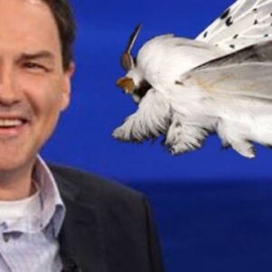Norm Macdonald Instagram - A moth goes into a podiatrist’s office.....