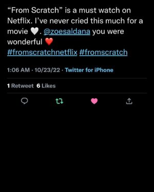 Nzingha Stewart Instagram - The people have spoken! If you haven’t watched it yet, please watch #FromScratch if you have, share! It’s so rare that we get to tell stories like this. I’m so proud of this work. So grateful to have been one of the many who has been touched by @tembilocke’s gorgeous story and @atticalocke’s beautiful humor and heart. This is who we are. #fromscratchnetflix